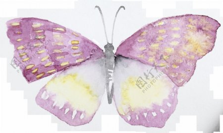 紫翅蝴蝶卡通透明装饰素材