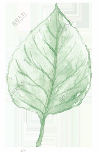 植物标本卡通透明素材