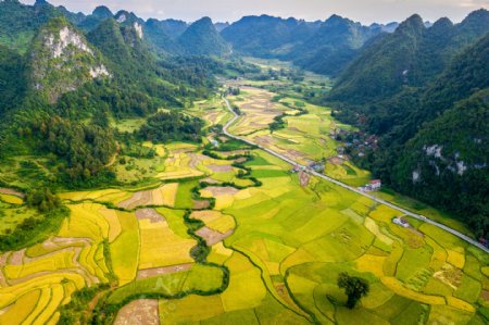 越南高平风景摄影山田地道路