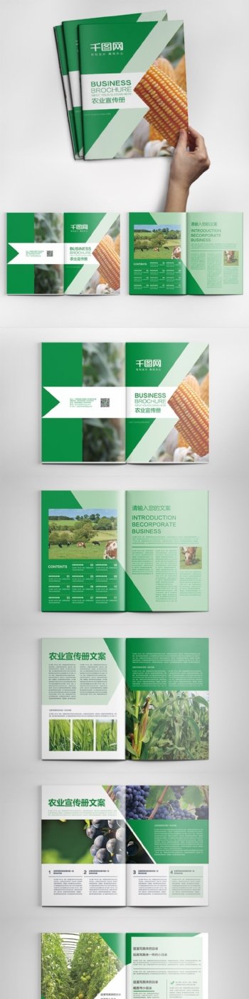 绿色时尚大气农业画册PSD模板