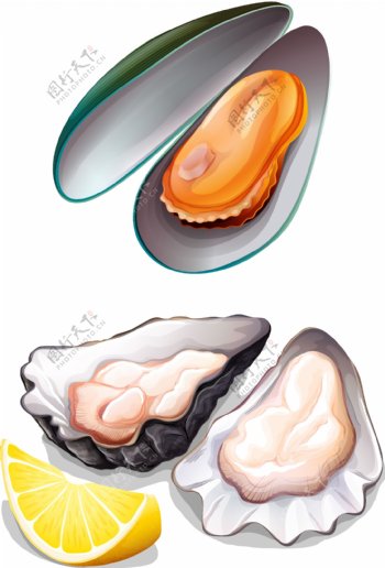贝壳类海鲜