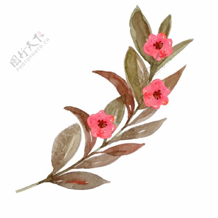 手绘一株三朵红花花枝装饰素材