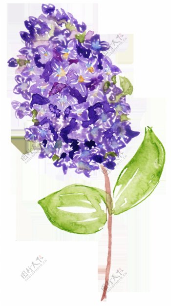 手绘素雅紫色花枝装饰素材