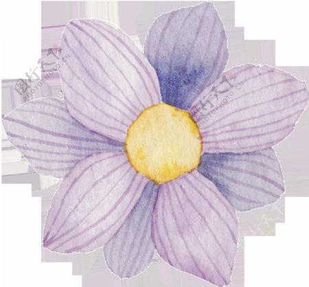 手绘淡紫色花卉png透明素材
