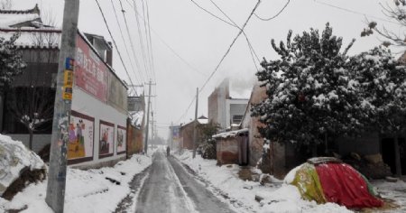 雪天下的乡村道路
