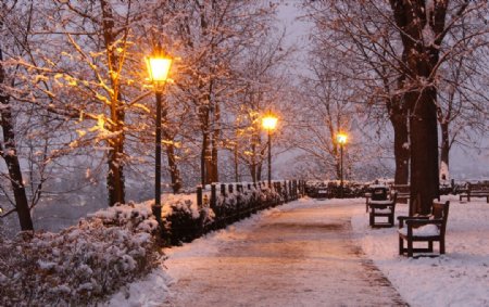 捷克公园冬季傍晚