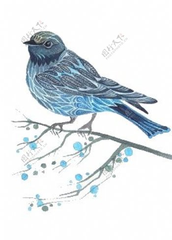 美丽蓝色小鸟装饰元素