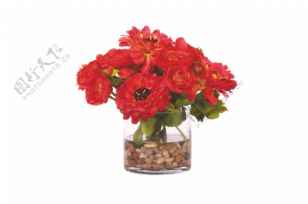 艳丽大红色花朵花束实物元素