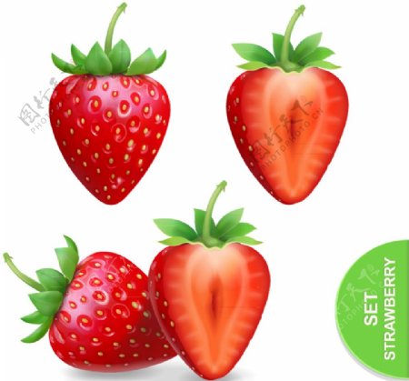 新鲜红草莓和切面矢量素材