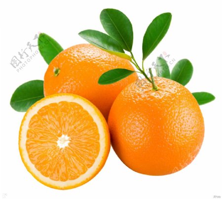 两个橙子和果实切面透明装饰素材