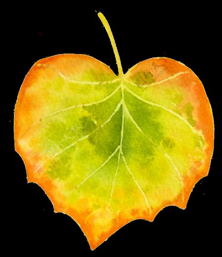 秋季的一片黄叶矢量素材