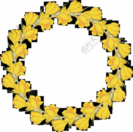 完美绽放的黄色花环透明花朵素材