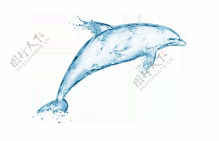 科技水波海豚png元素