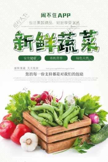 水果蔬菜清新简约海报