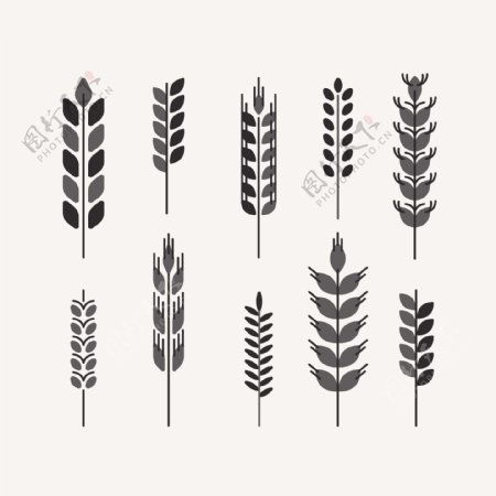 10款黑色小麦合集插画设计