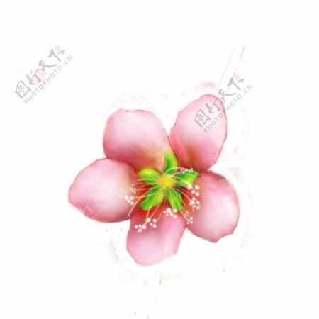手绘唯美水彩桃花3可商用元素