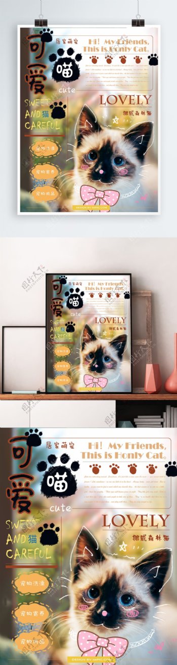 小清新手绘风宠物店宠物猫促销海报