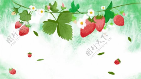 彩绘草莓花藤背景素材