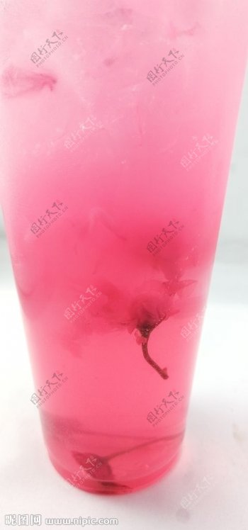 樱花饮品樱花在杯子中漂浮