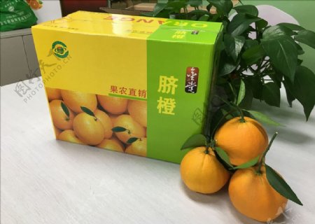 金堂脐橙橙子包装盒