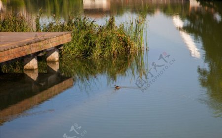 长沙月湖公园