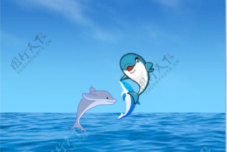 波涛汹涌的海水跳跃的海豚