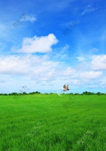 蓝天白云草地绿地美丽风景自然图