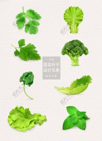 蔬菜叶子设计元素