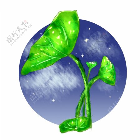 植物元素绿色荷叶小清新童话风格手绘风