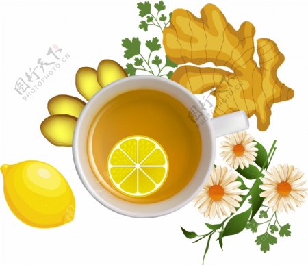 健康养生柠檬姜茶矢量图
