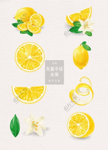 矢量柠檬水果
