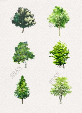 绿色单颗树木