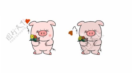 开心与不开心的猪