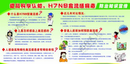 H7N9禽流感宣传知识