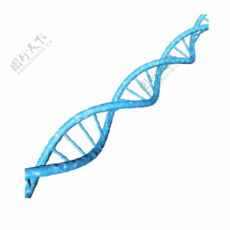 DNA链条C4D素材DNA素材3D蓝色