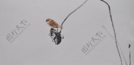 新中式禅意水墨荷花小鸟装饰画