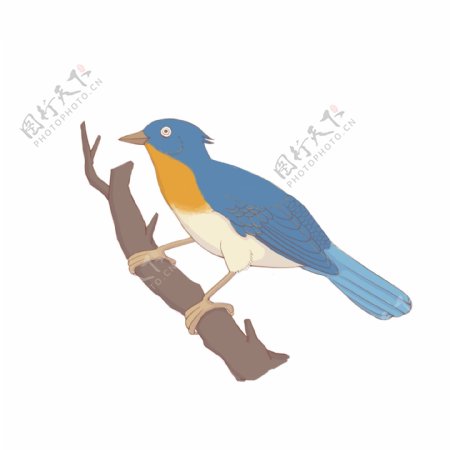 手绘小鸟蓝色的鸟可商用元素