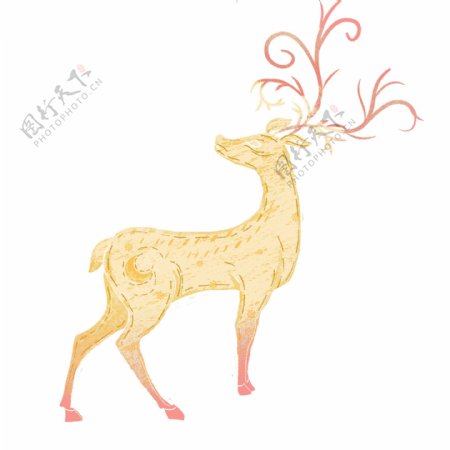 手绘小鹿动物设计