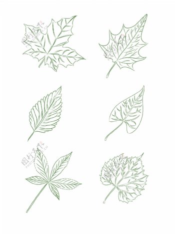 手绘植物素材手绘绿叶可商用