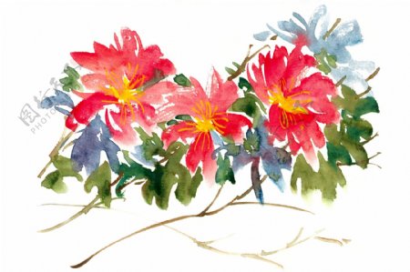 盛开的鲜花水彩画PNG免抠素材