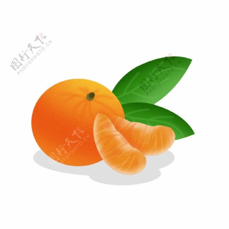 卡通手绘水果橘子素材可商用