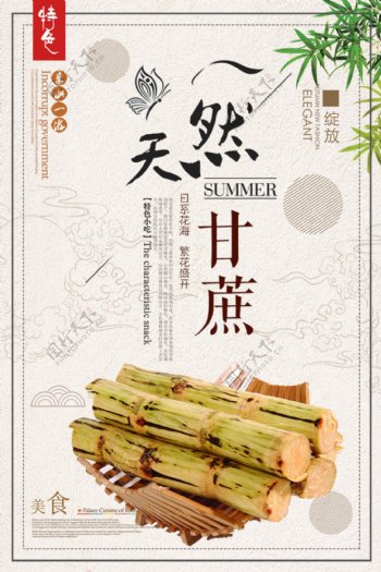 简约中国风甘蔗美食美味海报