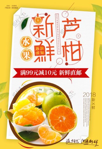 小清新新鲜芦柑水果海报设计