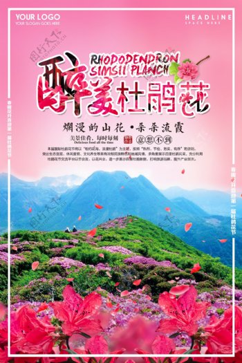 清新杜鹃花节旅游节海报展板