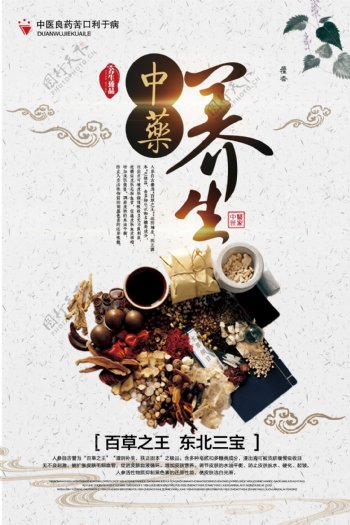 简洁大气传统中国风中药养生促销宣传海报