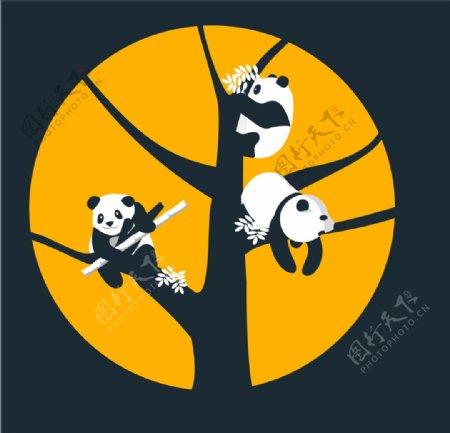 熊猫