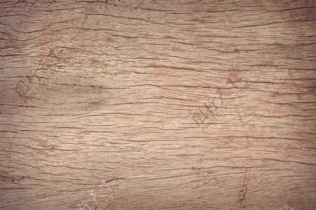 树皮纹理木纹木材