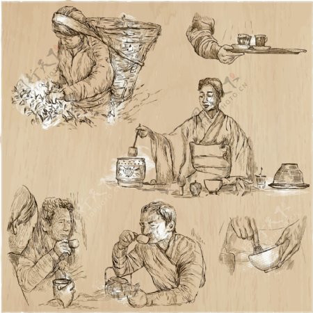 手绘喝茶和采茶的插画