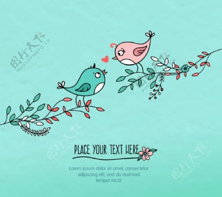 树枝上的情侣小鸟