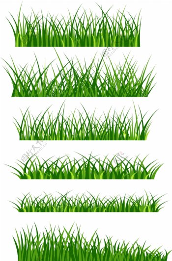 绿色的草坪矢量元素可商用